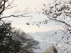 -紫金山天文台