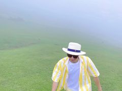-大姆山草场