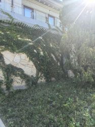 -北京市海淀区妇幼保健院(东南院区)