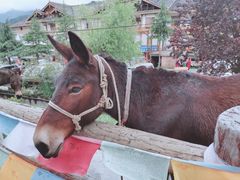 -硗碛藏寨·神木垒景区