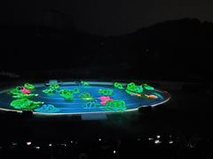 -鼎盛王朝康熙大典实景演出