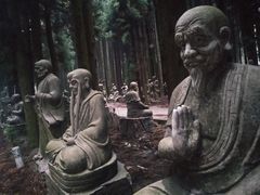 -武陵山森林公园