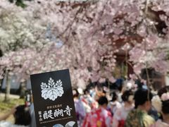 -醍醐寺