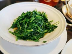 豌豆尖-甄御•海鲜新青岛菜(麦岛店)