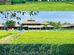 -乌村
