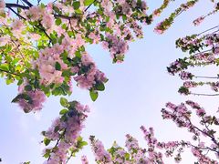 -海棠花溪(元大都城垣遗址公园)