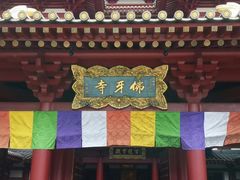 android_upload_pic-新加坡佛牙寺龙华院