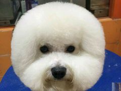 -惠康宠物医院(华能路店)