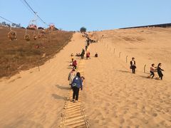 -古柏渡飞黄旅游区