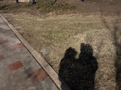 -绿茶餐厅(青岛城阳万象汇店)