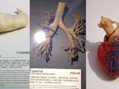 -生命奥秘博物馆