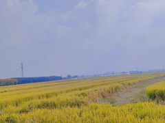 -嘉北郊野公园