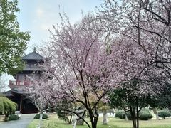-堤角公园
