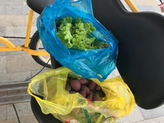 -菊园百果园