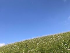-灵山