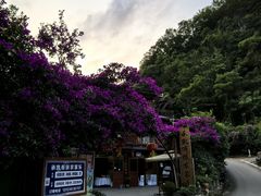 -高荡千年布依古寨旅游景区