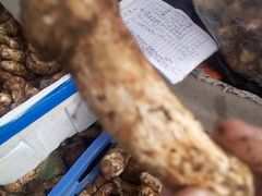 -南渝食府.墨脱石锅松茸鸡