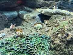 -沈阳海洋探索中心