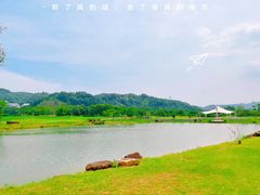 -广州市流溪河国家森林公园