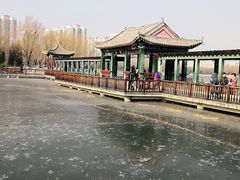 -莲花池公园