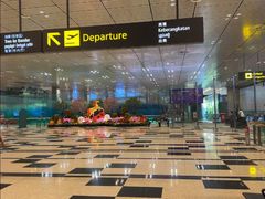 -樟宜机场皇冠假日酒店 （SG Clean） - IHG 旗下酒店