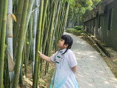 -林丰温泉度假山庄