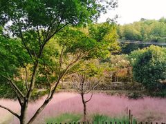 -宁波浙东大竹海景区