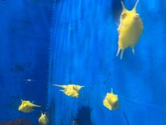 -福州罗源湾海洋世界旅游区