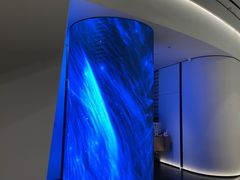 -柿合缘新京菜(国金中心商场店)