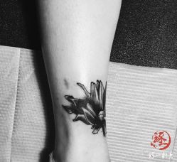 -天道tattoo纹身穿孔工作室