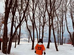 -中旅松花湖滑雪场