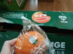 -红星农博物流中心