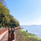 渡了船跨了海爬了山
