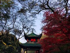 -岳麓山风景名胜区