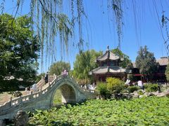 -莲池书院博物馆