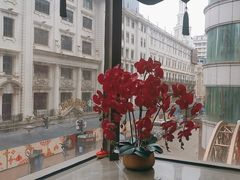 -新雅粤菜馆(南京东路店)