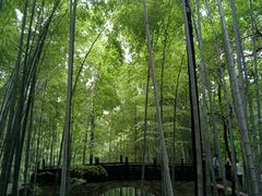 -敬亭山风景名胜区