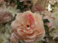 -海景壹号大酒店(滨湖店)