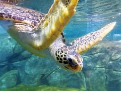 -福州罗源湾海洋世界旅游区