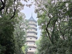 -灵谷景区