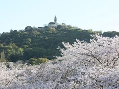 -苏州上方山国家森林公园