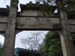 -南山植物园