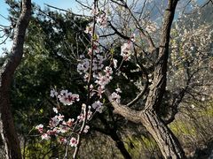 -北京十三陵国家森林公园蟒山景区