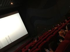 -万达影城(汉街万达广场IMAX店)