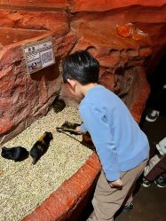 -Zoolung Zoolung动物主题公园(海信广场店)