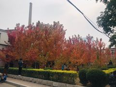 -辽宁大学(崇山校区)