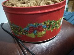 -珍妮曲奇聪明小熊(尖沙咀店)