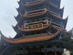 -铁山坪森林公园