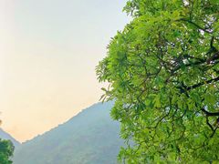 -逍遥谷景区