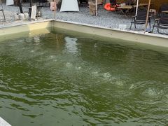 -DGE季风钓虾营地·团建·聚会